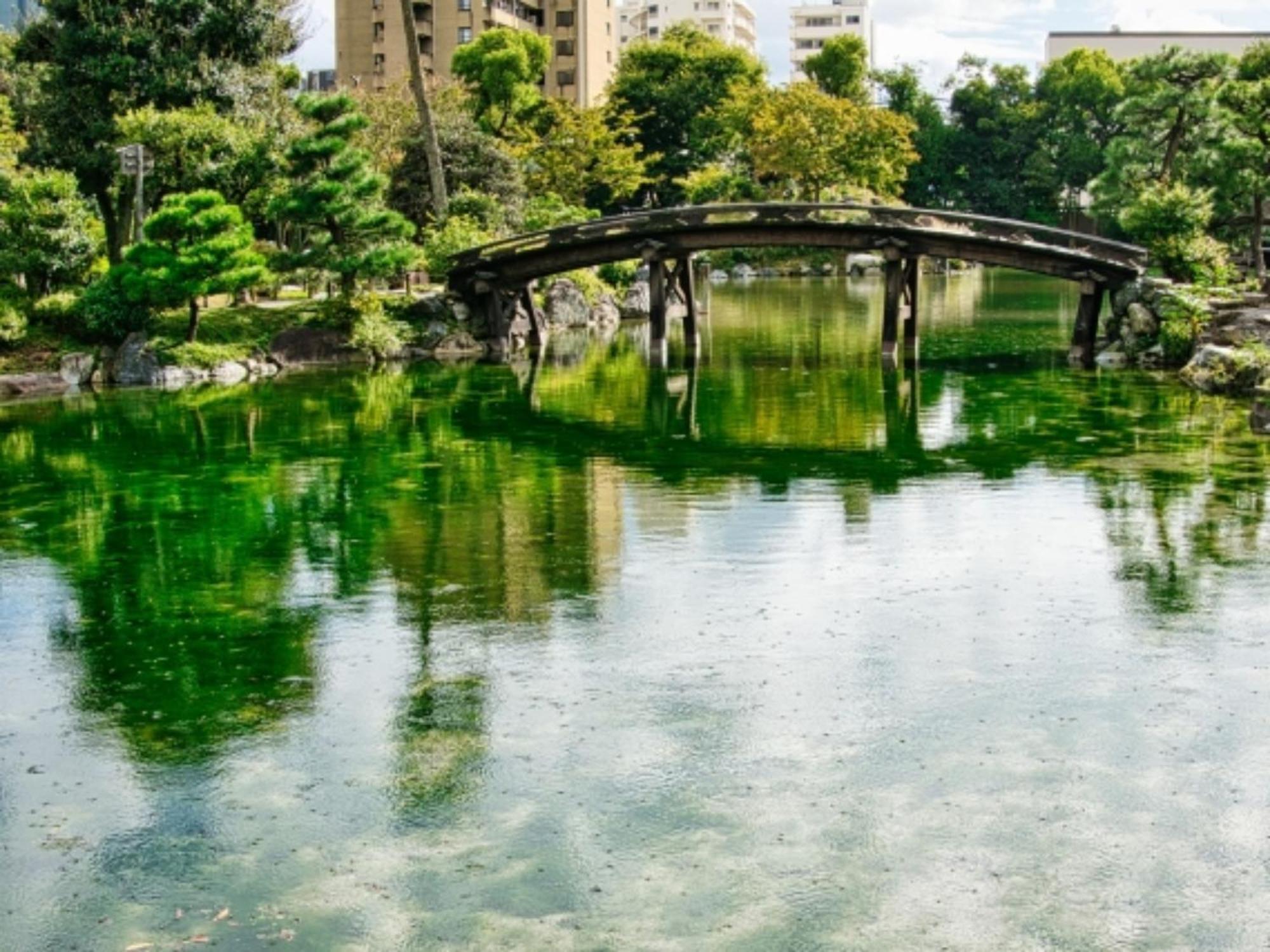 קיוטו Satomo Ryokan מראה חיצוני תמונה